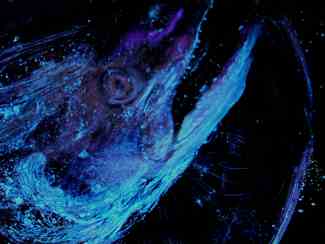 From "Glowing Evidence," a series of lenticular photographs by Laurie Tumer.